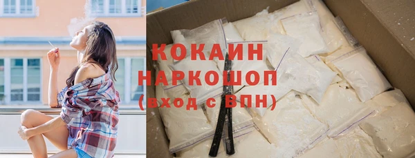 соль ск Алзамай