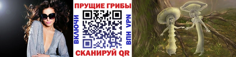 ссылка на мегу онион Дзержинск Псилоцибиновые грибы ЛСД купить наркотики сайты